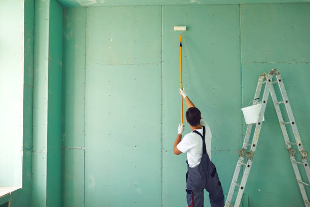 Best Water Damage & Mold Remediation  in Paducah, KY