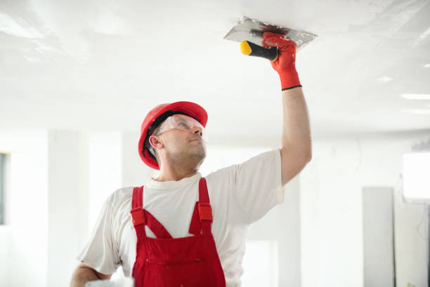 Paducah, KY Mold Removal Company