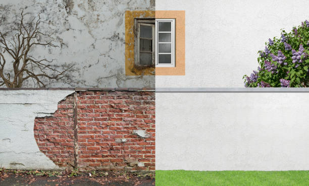 Best Industrial Mold Remediation  in Paducah, KY