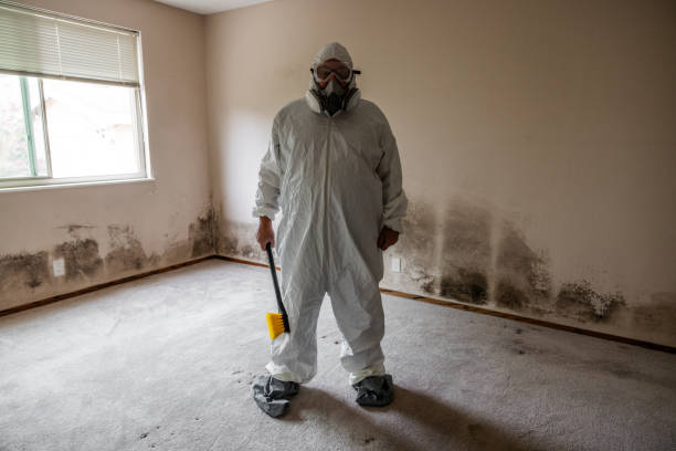 Best Mold Documentation for Insurance Claims  in Paducah, KY