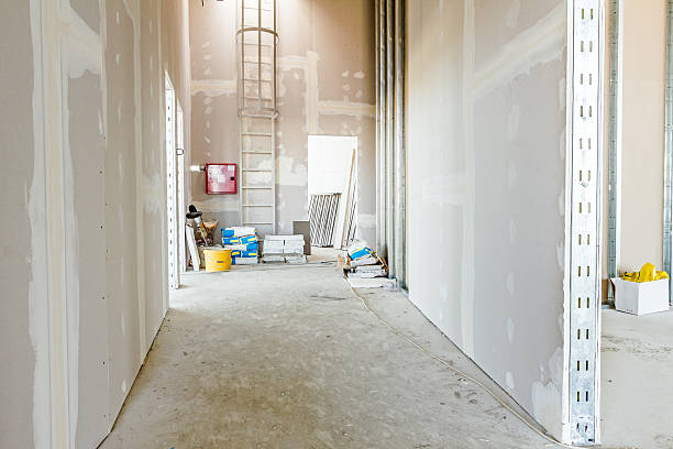 Best Real Estate Mold Inspection  in Paducah, KY