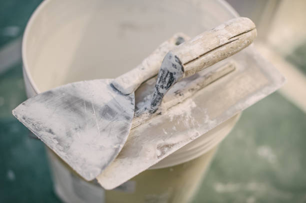 Best Mold-Related Health Consultation  in Paducah, KY
