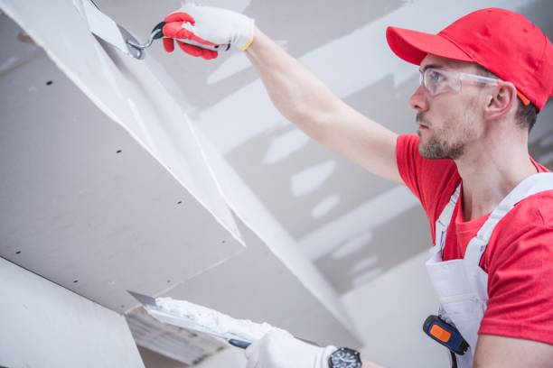Best Comprehensive Air Testing for Mold Contaminants  in Paducah, KY